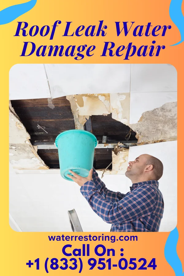 Roof Leak Water Damage Repair in Smithton, MO
